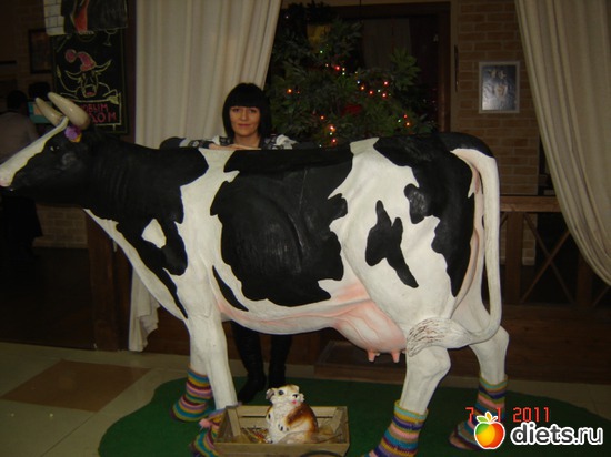 8 фото: Разное