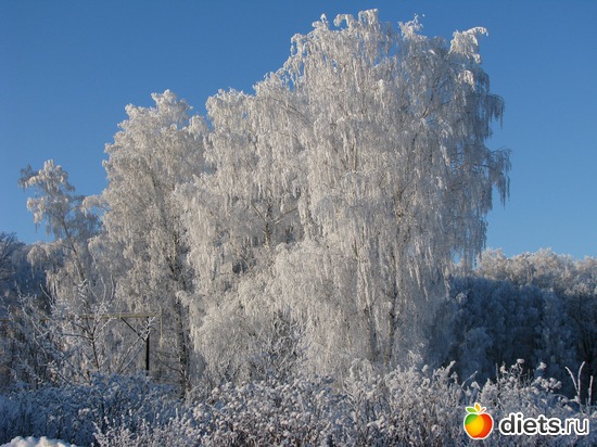 1 фото: наша природа