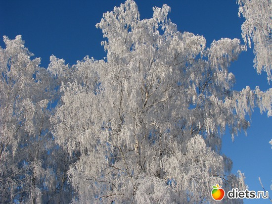 2 фото: наша природа