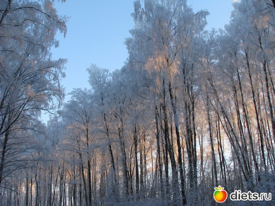 3 фото: наша природа