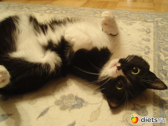 1 фото: моя семья