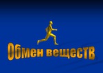Девять важных фактов об обмене веществ