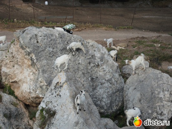 20 фото: Кипр