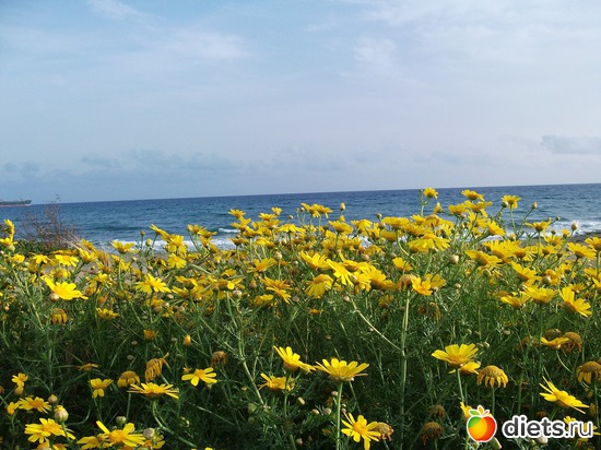 29 фото: Кипр