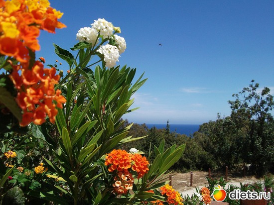 31 фото: Кипр