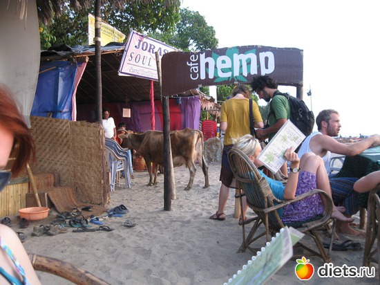 �������� ������ �������� � ������ ��� �� ����������=)), ������: VIP (Very_Indian_People)