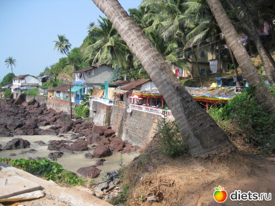 9 фото: VIP (Very_Indian_People)