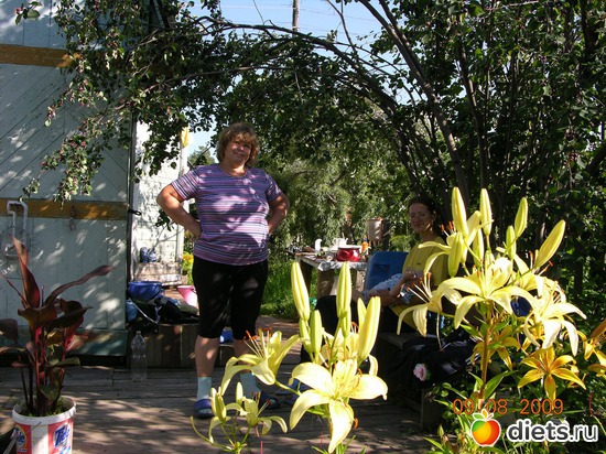 цветы, альбом: мое хобби