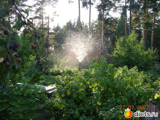 наша сибирь, альбом: мое хобби