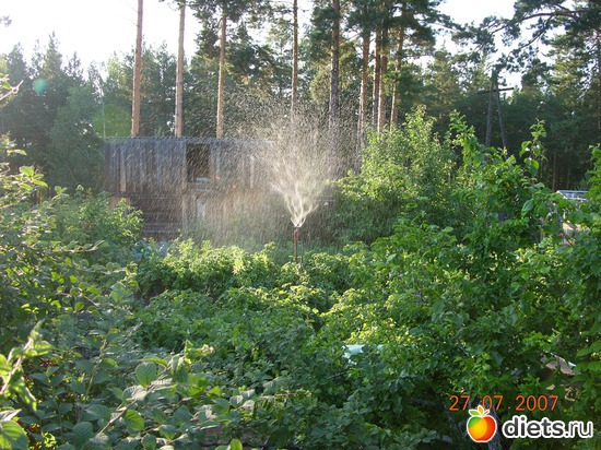 наша сибирь, альбом: мое хобби