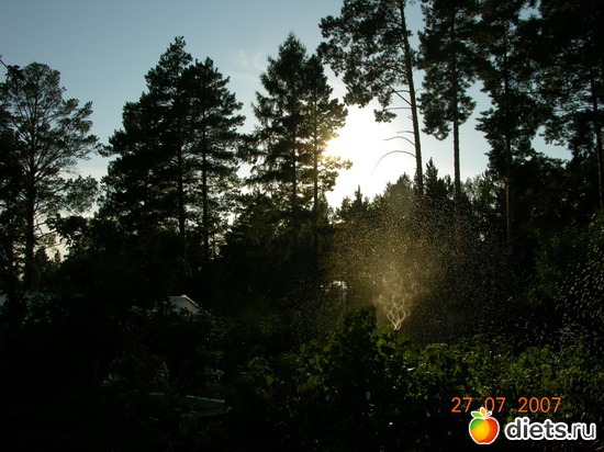 наша сибирь, альбом: мое хобби