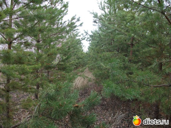 1 ����: �������!!!