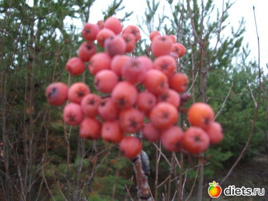 2 ����: �������!!!