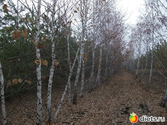 3 ����: �������!!!