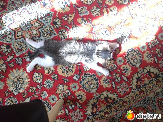 Пригрелся, альбом: мое