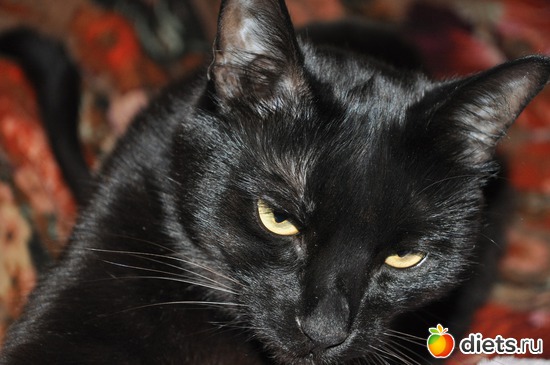 ������, ������: ��� ���� :)