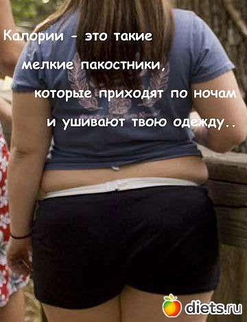 � ������ ��������