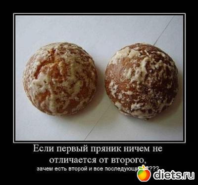 � ������ ��������