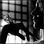 отчёт 11го дня!!!