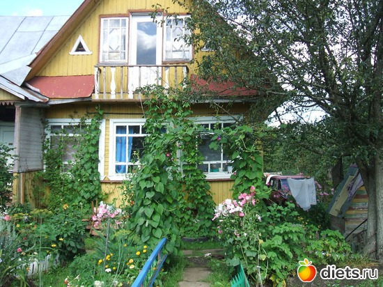 23 фото: моя дачка