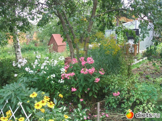 28 ����: ��� �����