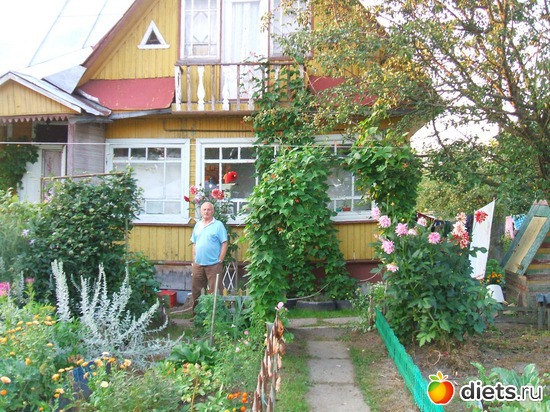 2 фото: моя дачка