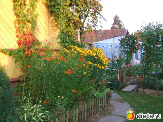 ��� ��������, ������: ��� �����