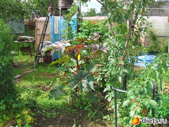 6 ����: ��� �����