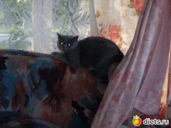 2 фото: Таис Бретанская (голубая)