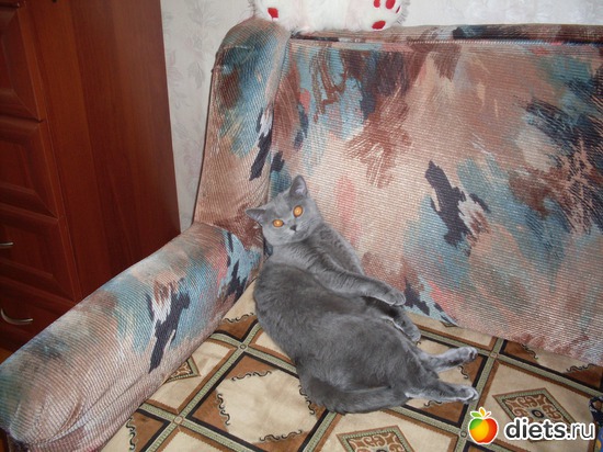 нежусь, альбом: Таис Бретанская (голубая)