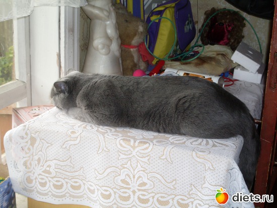 хочу на волю!, альбом: Таис Бретанская (голубая)