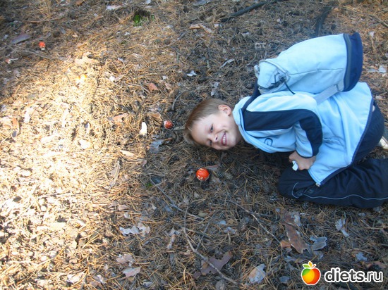 сентябрь 2010.В лесу., альбом: СЫНИШКА