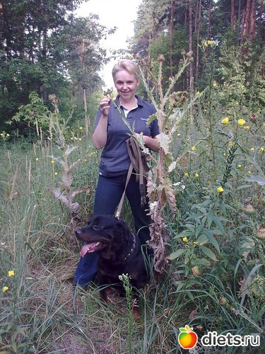 1 ����: � � ����.