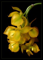 Современная притча о человеке и его задачах