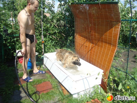 ��� ���� ������, ������������ ����� �����, ������: �� ����