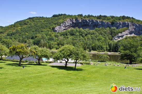 ��� ����� ��� �������., ������: DINANT.�������. �������� �����.