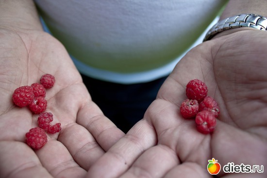 ������ ������� ����� �������!, ������: DINANT.�������. �������� �����.