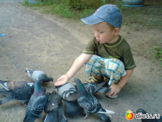 2 ����: � � ��� �������