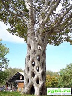 ��� ��� ������ ������� ��� ��������!