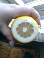 4.07.2011 :  .   !    !)