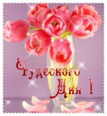 Вечеринка у Оксанки дома ))))