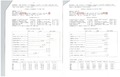 лист 2: справа 2010 год, слева 2011год