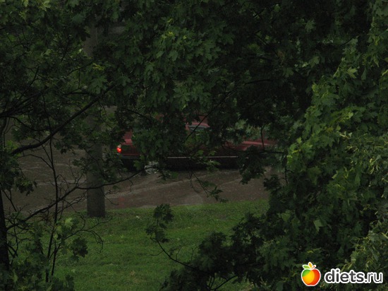 39 фото: Фото