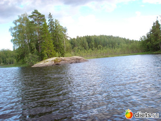 ölsjö, альбом: Odyhaem!