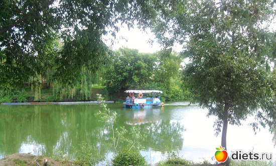 лето, альбом: просто фото