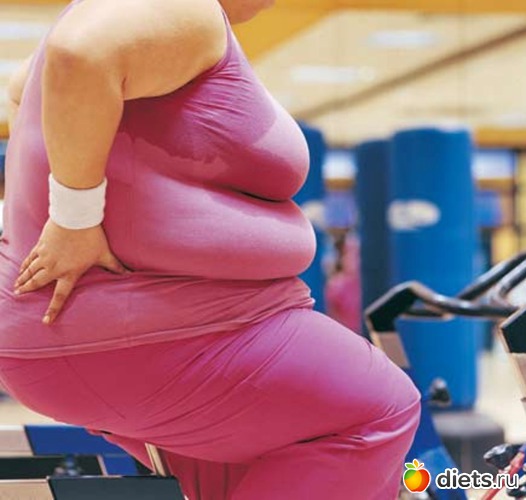 4 ����: ���������