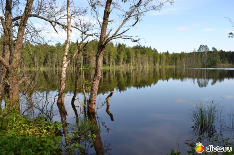 1 ����: ������ 2011