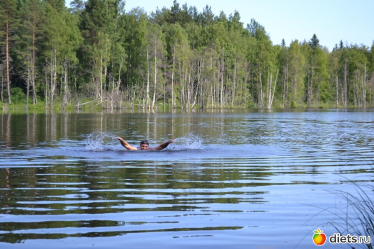 2 ����: ������ 2011