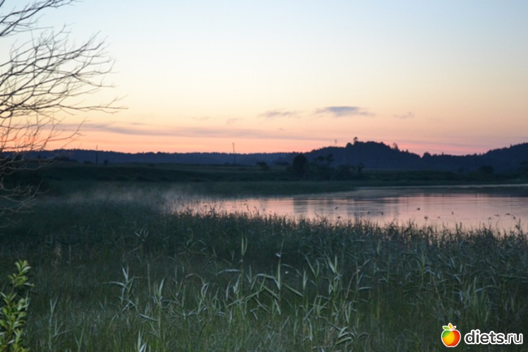 3 ����: ������ 2011