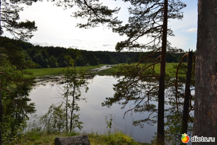 8 ����: ������ 2011